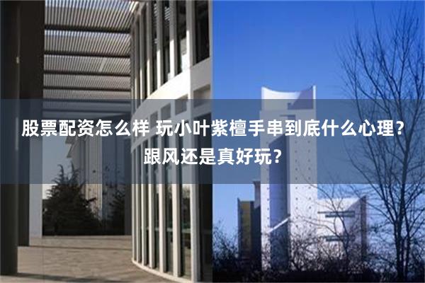 股票配资怎么样 玩小叶紫檀手串到底什么心理？跟风还是真好玩？