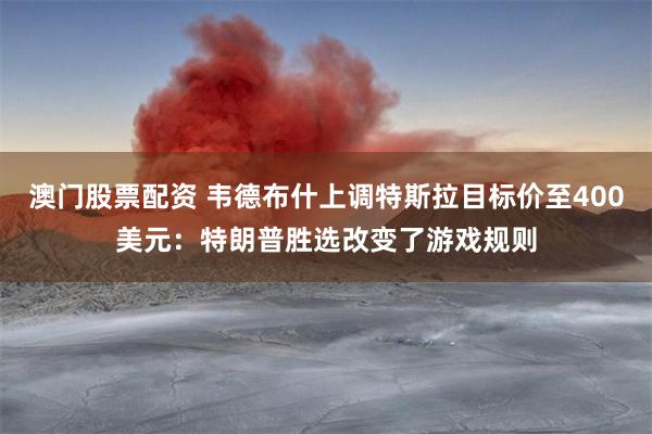 澳门股票配资 韦德布什上调特斯拉目标价至400美元：特朗普胜选改变了游戏规则