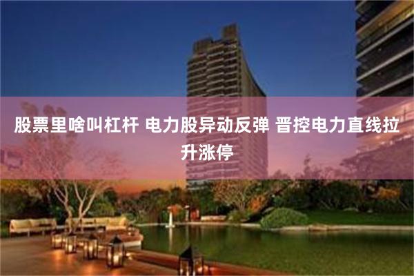 股票里啥叫杠杆 电力股异动反弹 晋控电力直线拉升涨停