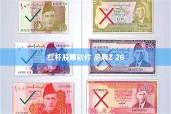 杠杆股票软件 尼康Z 28