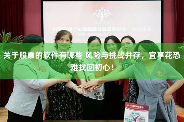 关于股票的软件有哪些 风险与挑战并存，宜享花恐难找回初心！