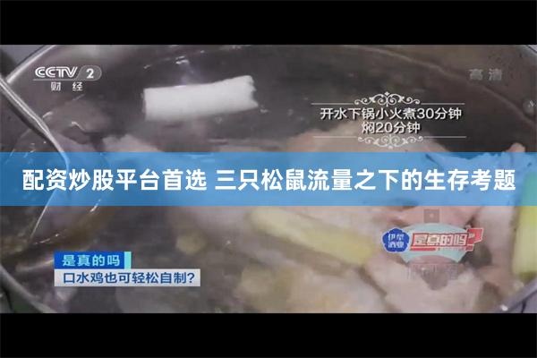 配资炒股平台首选 三只松鼠流量之下的生存考题