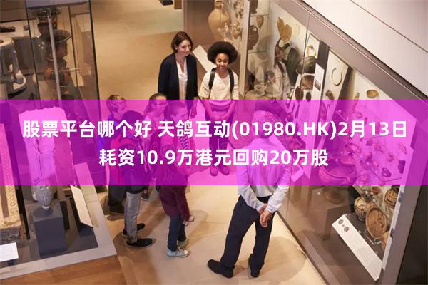 股票平台哪个好 天鸽互动(01980.HK)2月13日耗资10.9万港元回购20万股