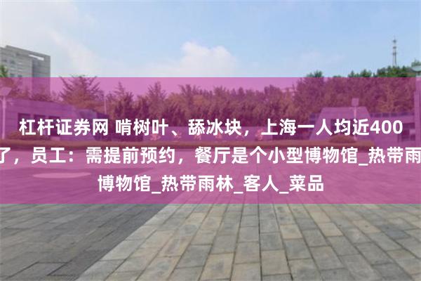 杠杆证券网 啃树叶、舔冰块，上海一人均近4000元的餐厅火了，员工：需提前预约，餐厅是个小型博物馆_热带雨林_客人_菜品