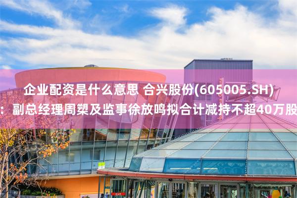 企业配资是什么意思 合兴股份(605005.SH)：副总经理周槊及监事徐放鸣拟合计减持不超40万股