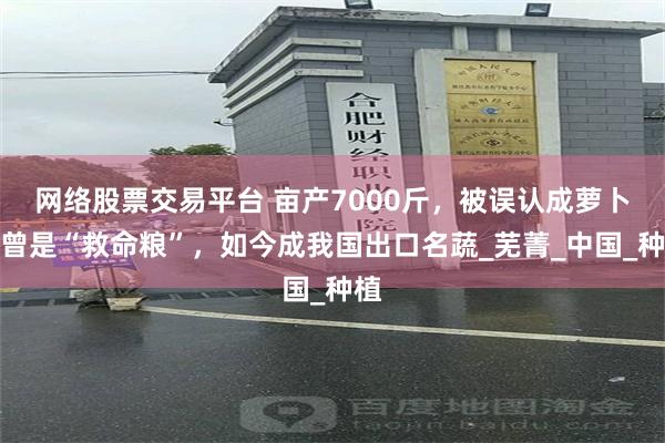 网络股票交易平台 亩产7000斤，被误认成萝卜却曾是“救命粮”，如今成我国出口名蔬_芜菁_中国_种植