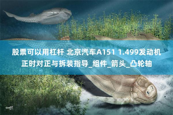 股票可以用杠杆 北京汽车A151 1.499发动机正时对正与拆装指导_组件_箭头_凸轮轴