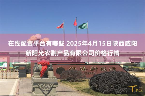 在线配资平台有哪些 2025年4月15日陕西咸阳新阳光农副产品有限公司价格行情