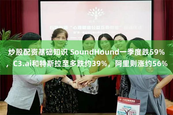 炒股配资基础知识 SoundHound一季度跌59%，C3.ai和特斯拉至多跌约39%，阿里则涨约56%
