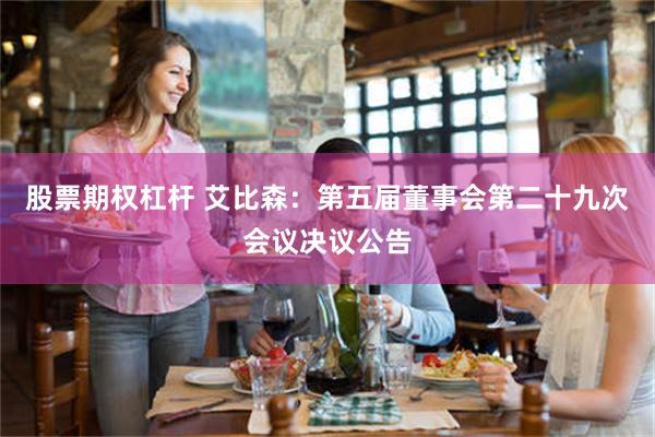股票期权杠杆 艾比森：第五届董事会第二十九次会议决议公告