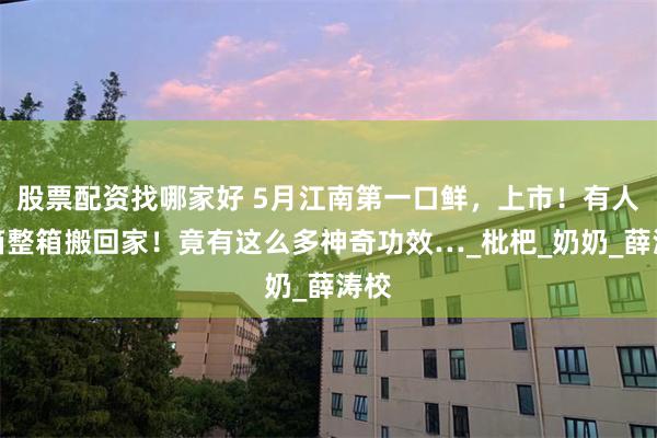 股票配资找哪家好 5月江南第一口鲜，上市！有人整箱整箱搬回家！竟有这么多神奇功效…_枇杷_奶奶_薛涛校