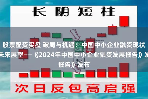 股票配资实盘 破局与机遇：中国中小企业融资现状与未来展望——《2024年中国中小企业融资发展报告》发布