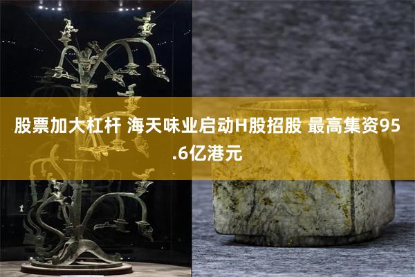 股票加大杠杆 海天味业启动H股招股 最高集资95.6亿港元