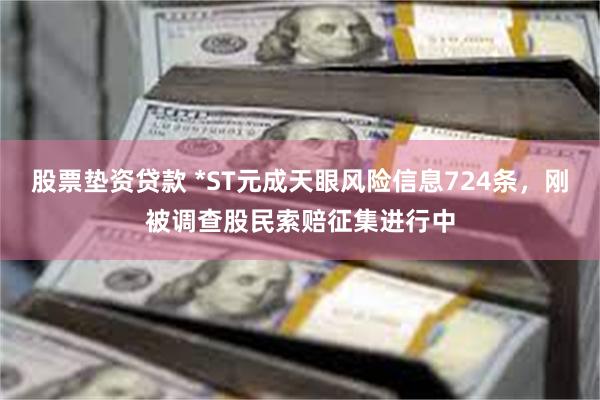 股票垫资贷款 *ST元成天眼风险信息724条，刚被调查股民索赔征集进行中