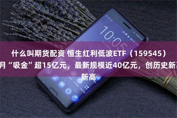 什么叫期货配资 恒生红利低波ETF（159545）7月“吸金”超15亿元，最新规模近40亿元，创历史新高