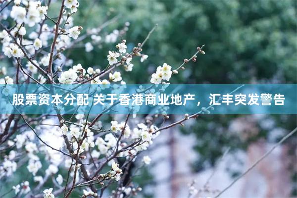 股票资本分配 关于香港商业地产，汇丰突发警告