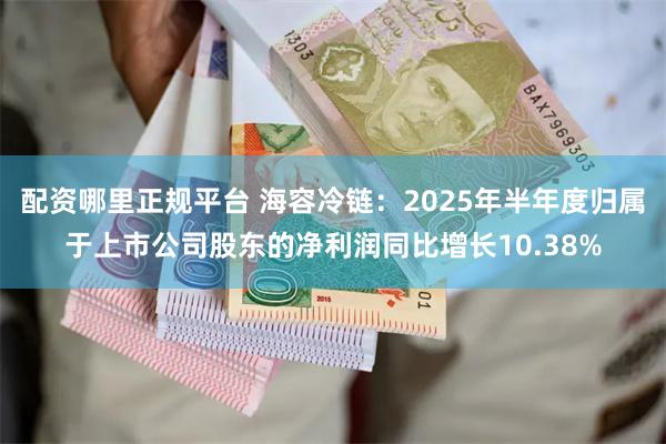 配资哪里正规平台 海容冷链：2025年半年度归属于上市公司股东的净利润同比增长10.38%